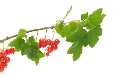 Similar image 1125812