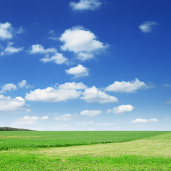 Similar image 1125818