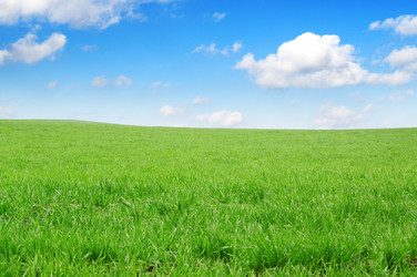 Similar image 1125830