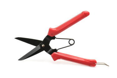 Similar image 1125837