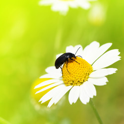 Similar image 1125859