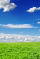 Similar image 1125861