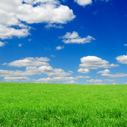 Similar image 1125877