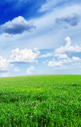 Similar image 1125881