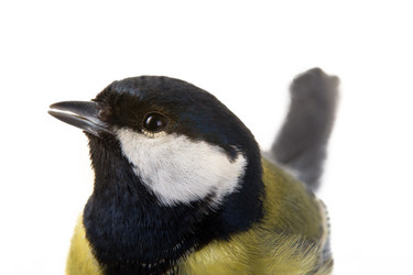 Similar image 1125939