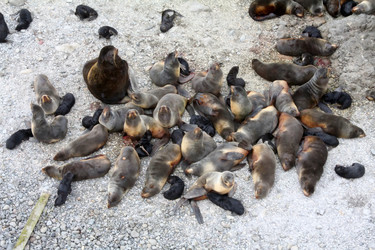 Similar image 1125940