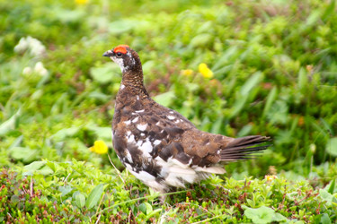 Similar image 1125941