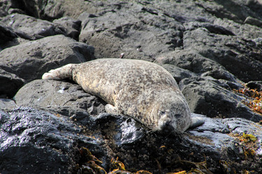 Similar image 1125946