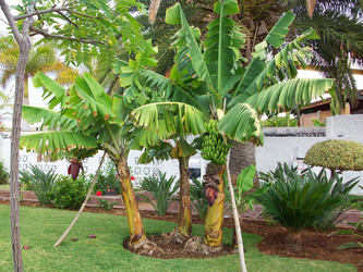 Similar image 1125952