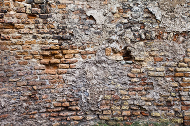 Similar image 1125965