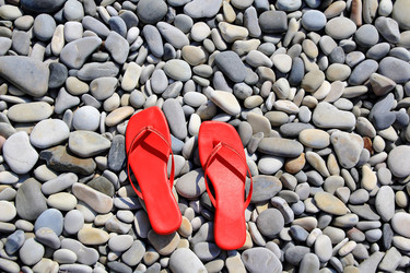 Similar image 1125970