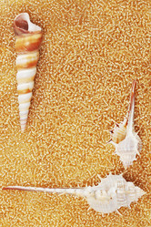 Similar image 1126001