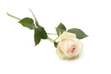 Similar image 1126020