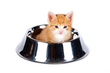 Similar image 1126023