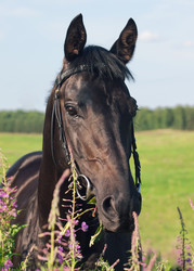 Similar image 1126026