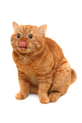 Similar image 1126120