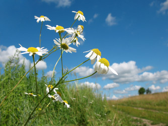 Similar image 1126143