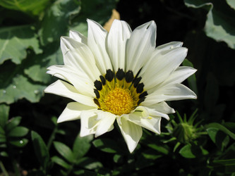 Similar image 1126149