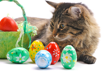 Similar image 1126158