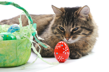 Similar image 1126160