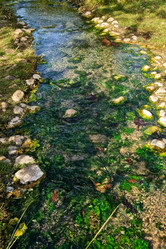 Similar image 1128744