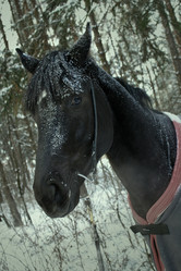 Similar image 1128946