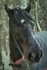 Similar image 1129907