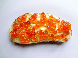 Similar image 1132865