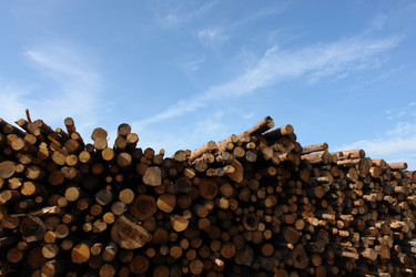 Similar image 1132931