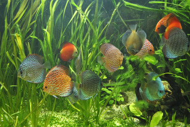 Similar image 1132972