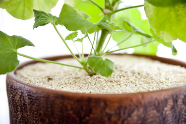 Similar image 1133029