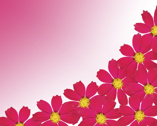 Similar image 1133039