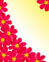 Similar image 1133041