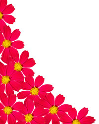 Similar image 1133042