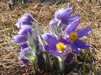 Similar image 1133045