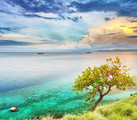 Similar image 1133048