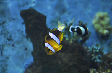 Similar image 1134116