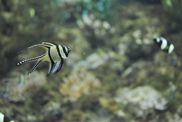 Similar image 1134118