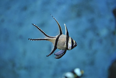 Similar image 1134120