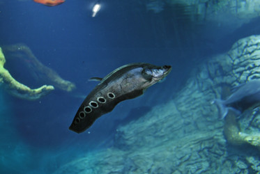 Similar image 1134122