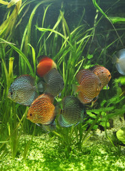 Similar image 1134124