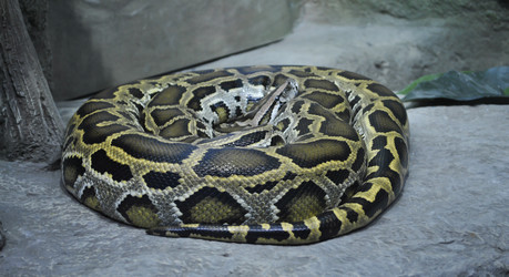 Similar image 1134157