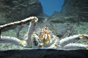 Similar image 1134158