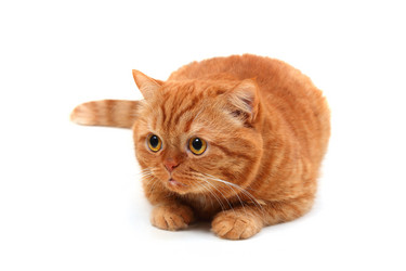 Similar image 1134159