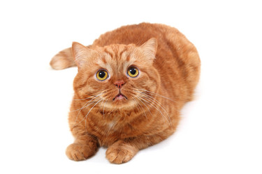 Similar image 1134160