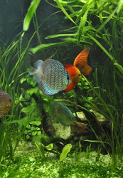 Similar image 1134176