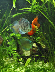 Similar image 1134177