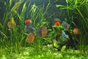 Similar image 1134180