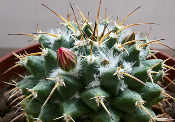 Similar image 1134221