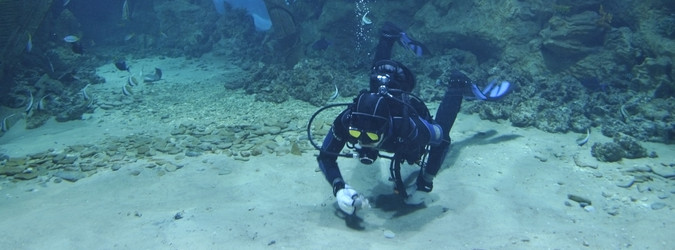 Similar image 1134244